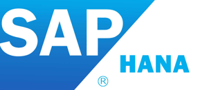 SAP Hana es uno de los canales con los que trabaja Digifact